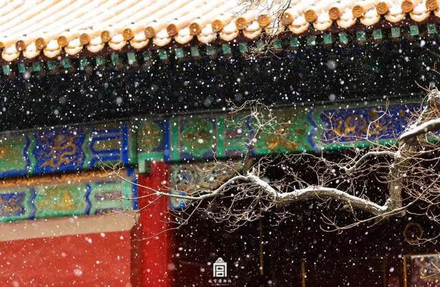 小雪是什么时候2021 二十四节气之小雪的由来与含义，小雪是什么时候2021（小雪：总有一场雪，为你而来）