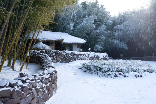 小雪是什么时候2021 二十四节气之小雪的由来与含义，小雪是什么时候2021（小雪：总有一场雪，为你而来）