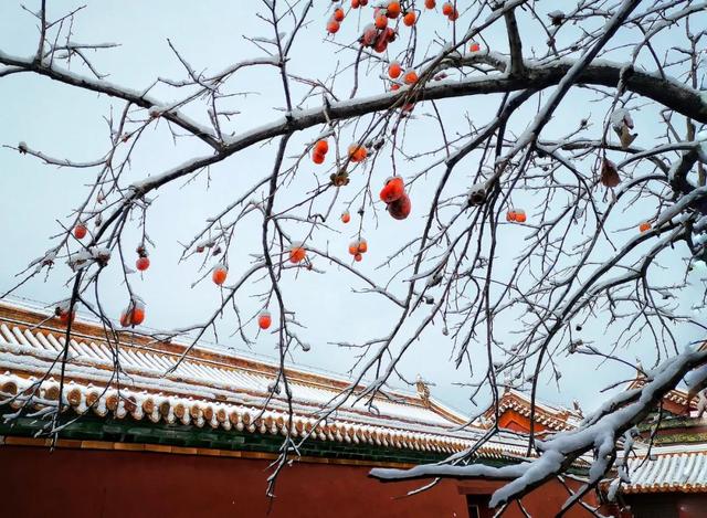 小雪是什么时候2021 二十四节气之小雪的由来与含义，小雪是什么时候2021（小雪：总有一场雪，为你而来）