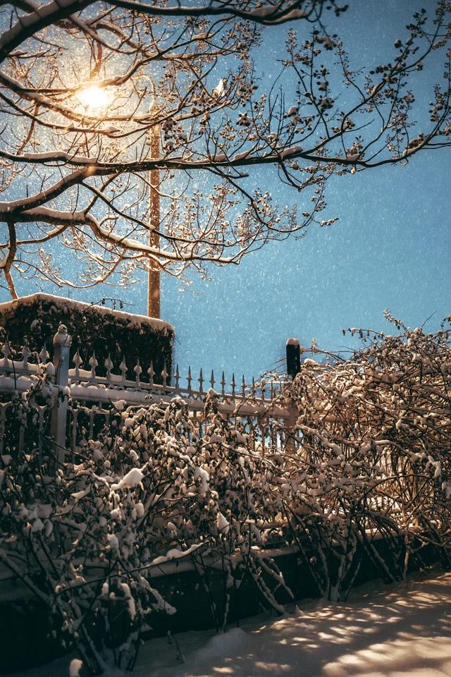 小雪是什么时候2021 二十四节气之小雪的由来与含义，小雪是什么时候2021（小雪：总有一场雪，为你而来）