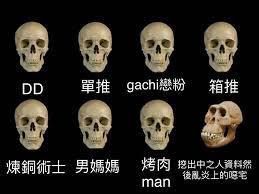 gachi什么梗，Chichi什么梗（Diss元宇宙的虚拟主播们）