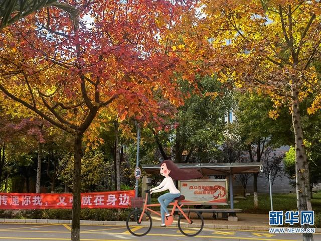 校园风景图片，校园风景（云南这所高校的“冬运会”有点萌）