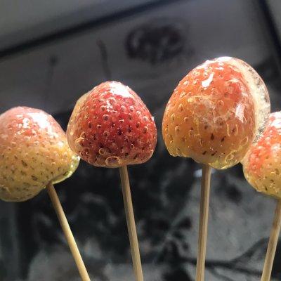 微波炉能做什么，用微波炉能做什么面食（这道微波炉简易版-冰糖葫芦少不了）