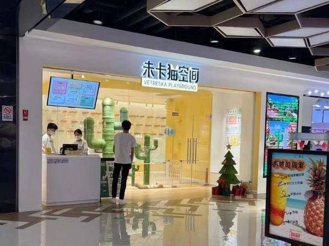 伊纳宝，毛孩子的东西买了一大堆（伊纳宝猫条价格）