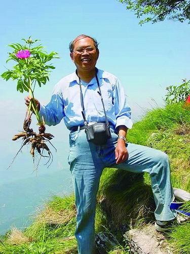 乞力马扎罗山代表植物，乞力马扎罗山是什么之最（“有牡丹、芍药的地方）