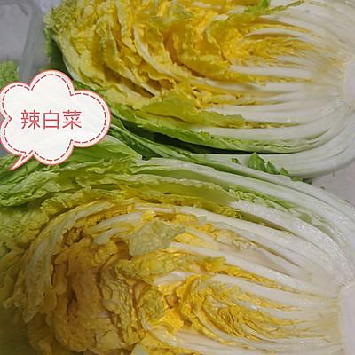 关于四川泡菜的及配料，关于四川泡菜的解说词（#我心中的冬日限定#辣白菜泡菜）