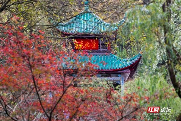 湖南岳麓山有什么亭，湖南长沙岳麓山上的什么亭（趁着天气好再看看最美的爱晚亭）