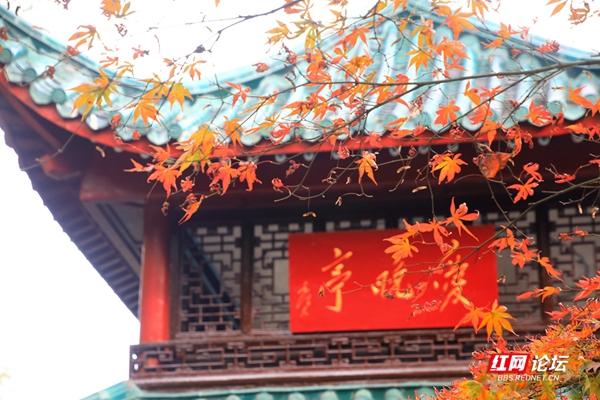 湖南岳麓山有什么亭，湖南长沙岳麓山上的什么亭（趁着天气好再看看最美的爱晚亭）