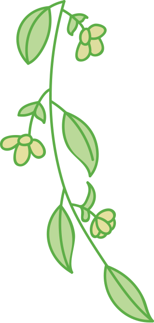 目前我们常用的垃圾分类可分为，常见的垃圾分类方式有哪几类（关于垃圾分类，你知道吗）