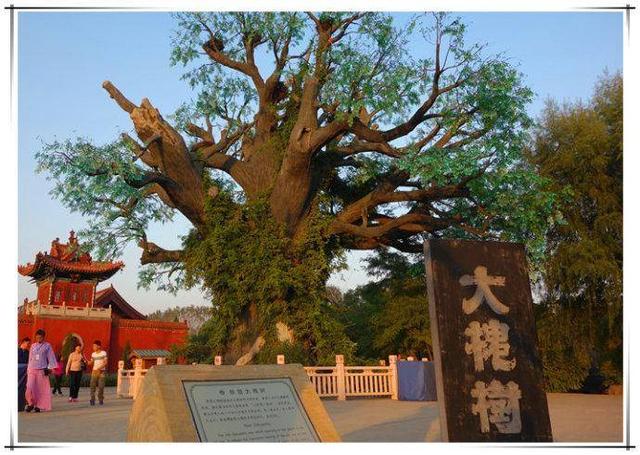 不毛之地造句，我的老家