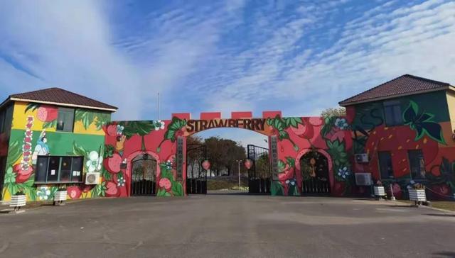 草莓上市的季节是几月，草莓季节是几月份（预计12月中下旬大量上市）