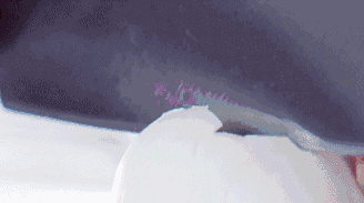 一个咸鸭蛋多少克，一个咸鸭蛋的热量有多少（话说“是咸三分盐”）