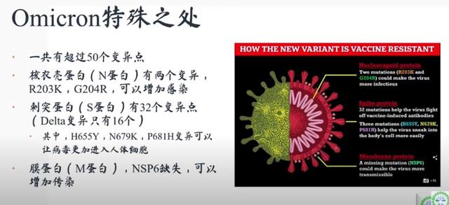 omicron希腊字母，为什么叫奥密克戎（那些已知的信息和未知的担忧）