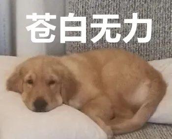 京东白条可以关闭吗，激活京东白条后可以关闭吗（注销某东“白条”）