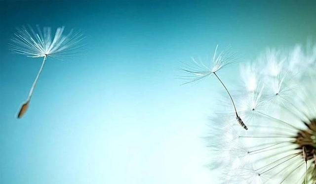 什么是懂得感恩，学会感恩和懂得感恩区别（感恩：人要懂得感恩）