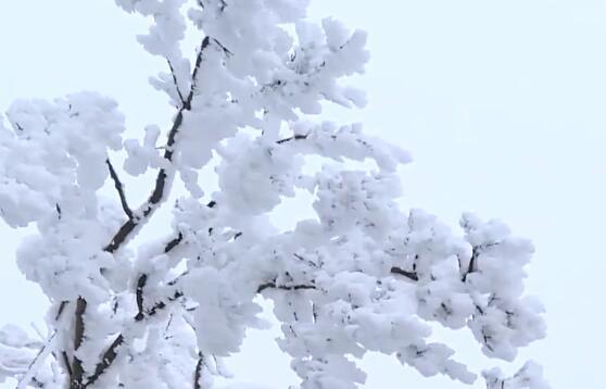 下雪了怎么发朋友圈(下雪了怎么发朋友圈关心客户)