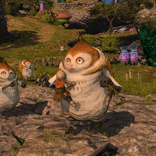 ff14坐骑怎么飞起来(《最终幻想14》官方ins发布)