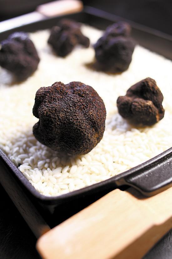 黑松露什么，黑松露什么季节成熟（云南黑松露堪比法国货）