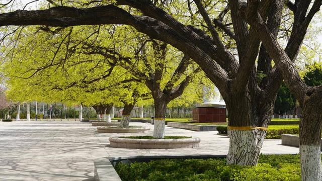 山东畜牧兽医职业学院，山东畜牧兽医职业学院宿舍条件怎么样—宿舍图片内景（山东畜牧兽医职业学院单招、综招招生章程发布）
