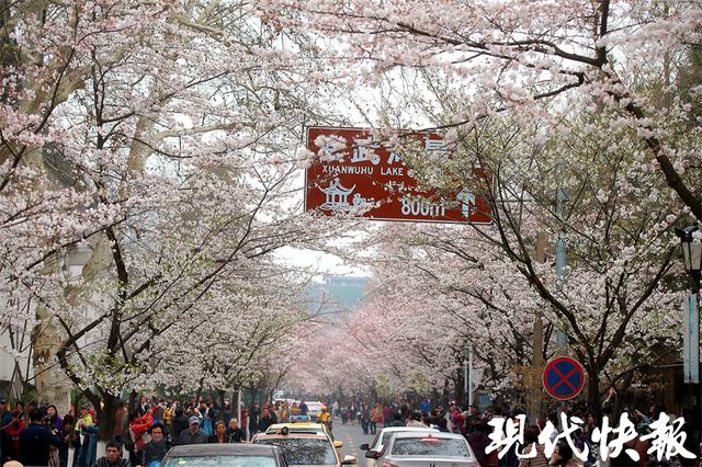 世界完全对称日，强迫症的福音（“20211202”是完全对称日）