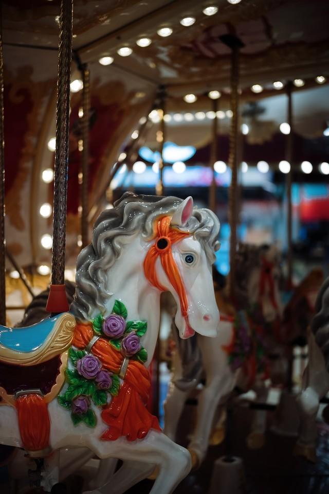 专业相机的安全快门是什么意思，专业相机的安全快门是什么意思呀（50mm镜头为什么是摄影初学者的首选定焦）