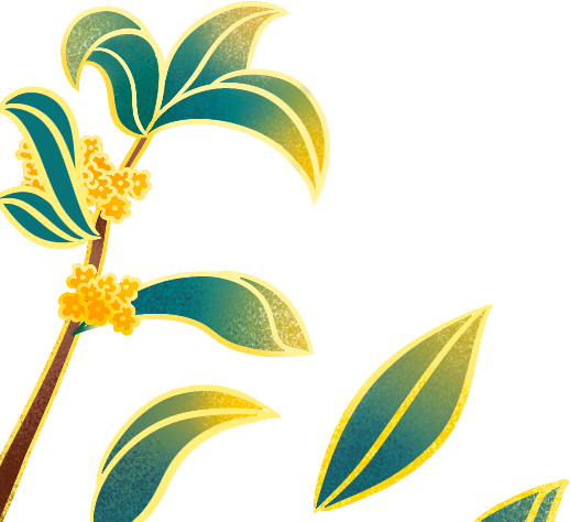 ooc是什么意思，ooc什么意思（<86>丨《星汉灿烂》CP乱炖）