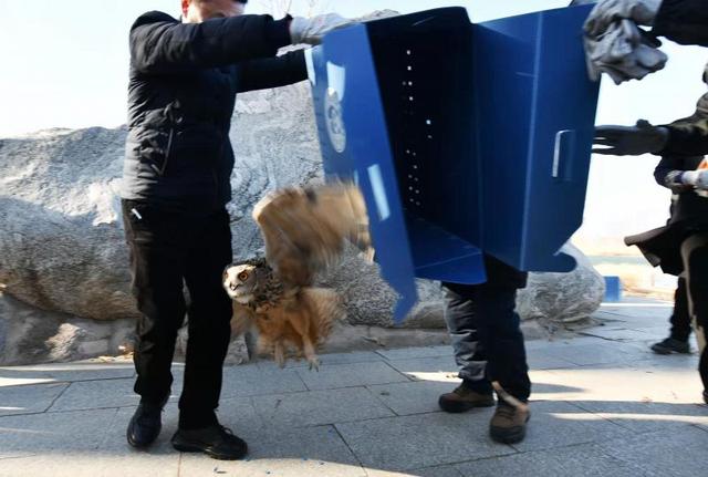 燕窝是怎么形成的，延庆区拥有国家重点保护野生动物95种