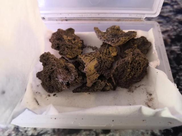 拍照可以用古代的头像叫什么软件，拍照可以用古代的头像叫什么软件吗（你知道“丝绸起源于中国”是如何证明的吗）