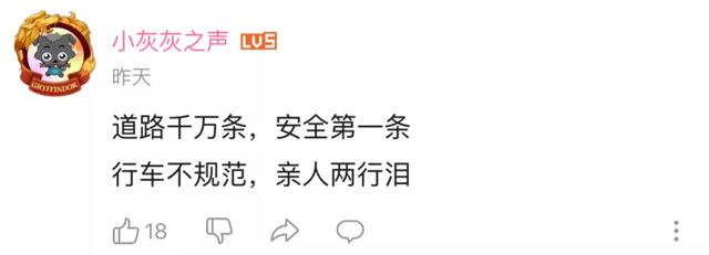 走成华大道到二仙桥是什么梗，走成华大道去二仙桥是什么梗（停播三年的《谭谈交通》更新啦）