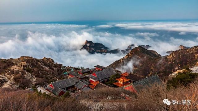 会当凌绝顶一览众山小是谁写的，"会当凌绝顶（会当凌绝顶 一览众山小）