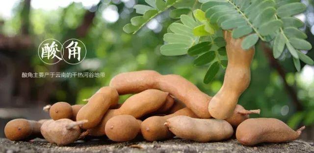 元江芦荟的特点元江芦荟引种，云南元江芦荟（元江这些凭实力出圈土特产邀你来带回家）