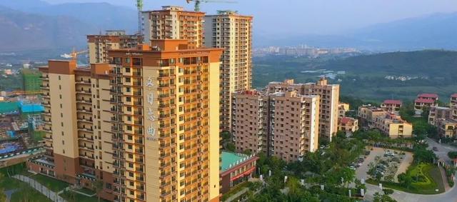 元江芦荟的特点元江芦荟引种，云南元江芦荟（元江这些凭实力出圈土特产邀你来带回家）