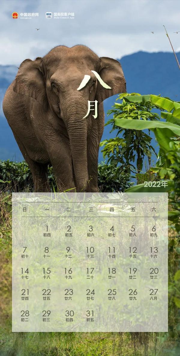 2022年法定节假日有几天，2022年法定节假日几天（2022年放假安排来了）