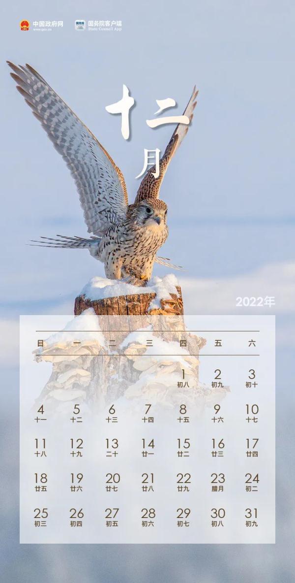 2022年法定节假日有几天，2022年法定节假日几天（2022年放假安排来了）