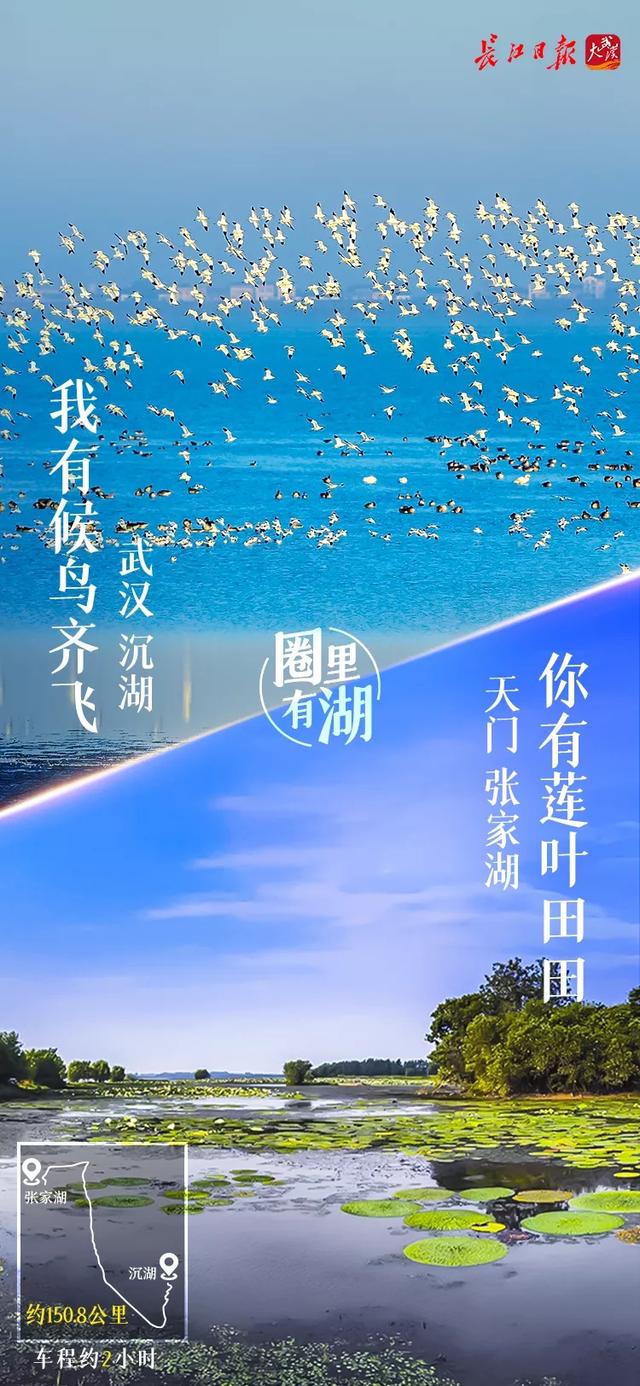 武汉有什么景点，武汉有什么有特色的景点（武汉城市圈藏着这么多美湖）