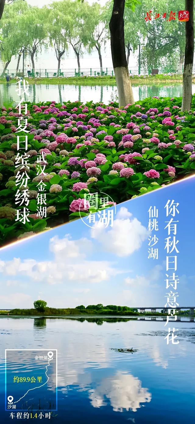 武汉有什么景点，武汉有什么有特色的景点（武汉城市圈藏着这么多美湖）