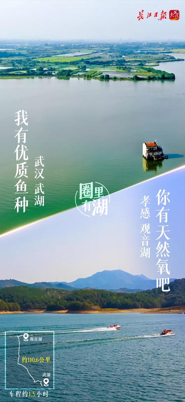 武汉有什么景点，武汉有什么有特色的景点（武汉城市圈藏着这么多美湖）