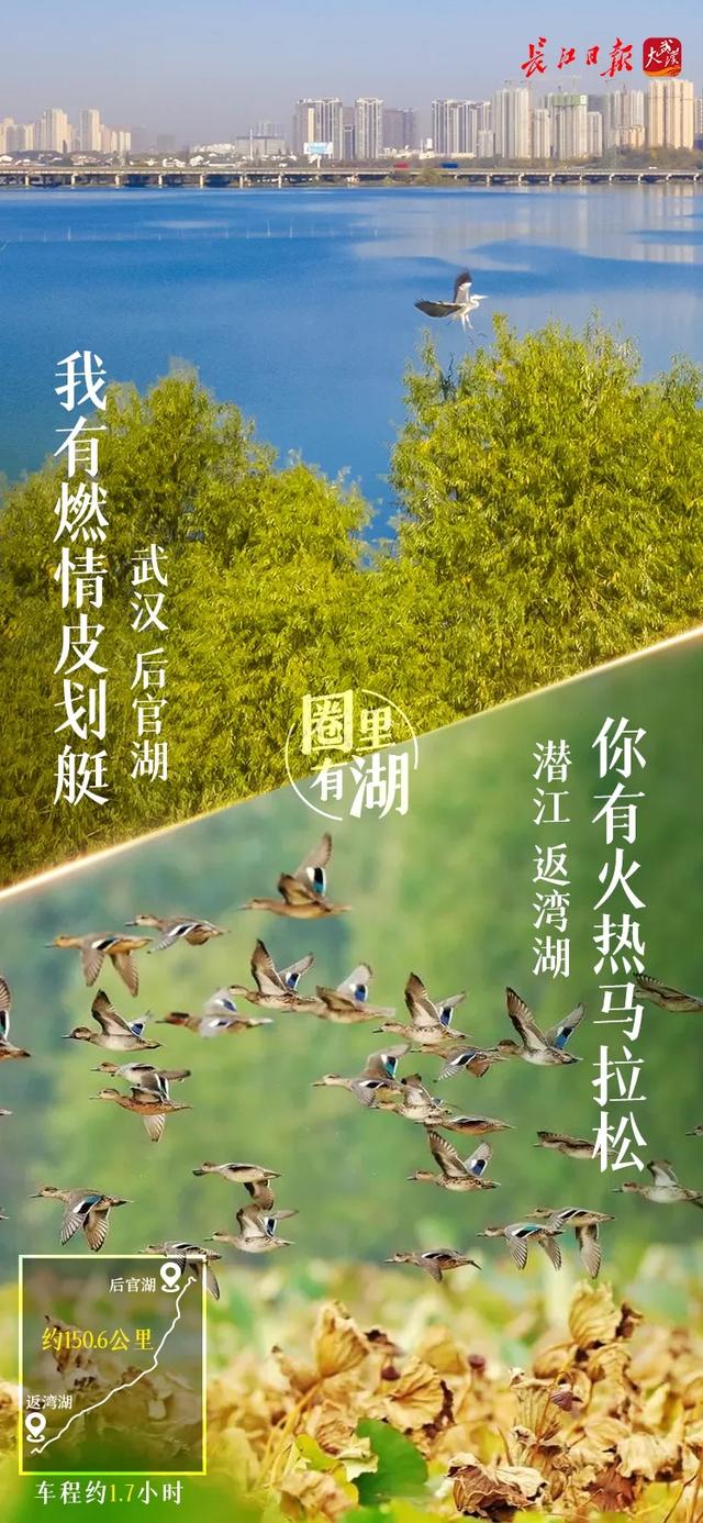 武汉有什么景点，武汉有什么有特色的景点（武汉城市圈藏着这么多美湖）