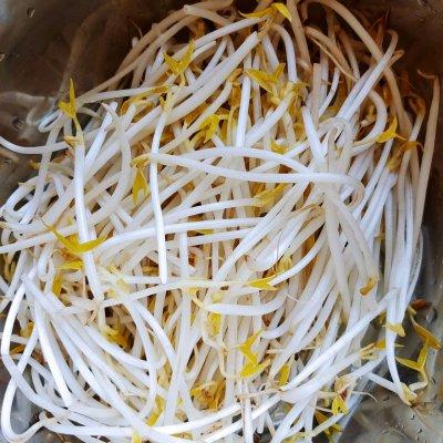 豆芽炒粉条用什么粉条好，豆芽可以炒粉条吗（豆芽炒粉条最好吃的做法）