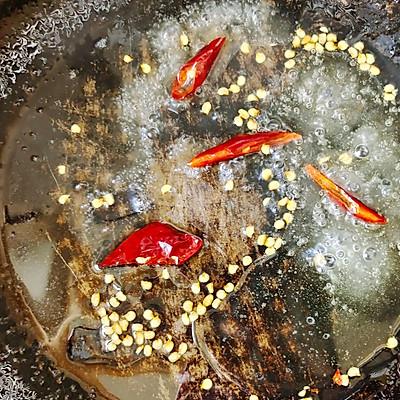 豆芽炒粉条用什么粉条好，豆芽可以炒粉条吗（豆芽炒粉条最好吃的做法）