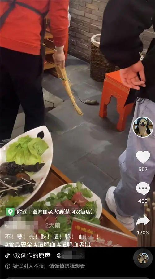 桌什么意思解释，桌字笔画笔顺（一全国连锁火锅店天降老鼠砸到人）