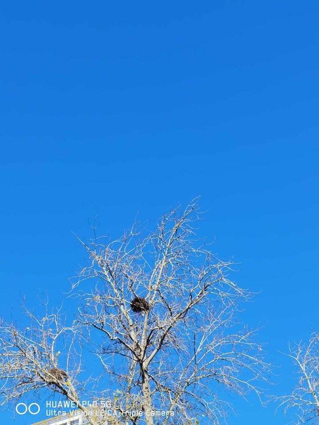 我爱冬季600字作文，我爱冬季600字作文初二开头（青未了/享受冬天的宁静）