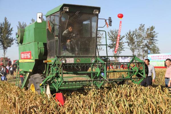 带产开头的成语，产的成语开头的成语（生物育种“魔法”如何实现）