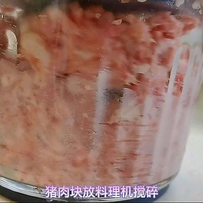 荠菜肉饺子馅的做法窍门，荠菜肉饺子馅怎么做（饺子就爱吃荠菜猪肉馅）