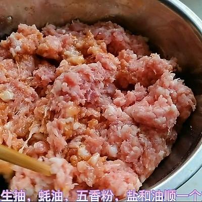 荠菜肉饺子馅的做法窍门，荠菜肉饺子馅怎么做（饺子就爱吃荠菜猪肉馅）