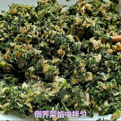 荠菜肉饺子馅的做法窍门，荠菜肉饺子馅怎么做（饺子就爱吃荠菜猪肉馅）