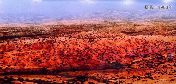 长汀县属于哪个市，龙岩市长汀县是福建哪个区的（从“山光水浊”到满山翠绿）