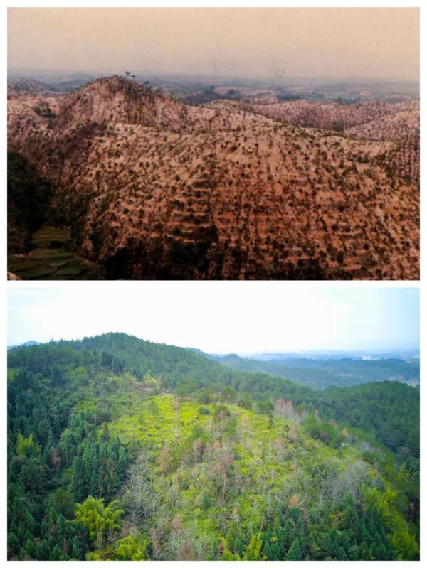 长汀县属于哪个市，龙岩市长汀县是福建哪个区的（从“山光水浊”到满山翠绿）