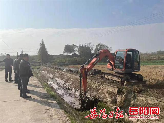 黑叶轮藻的种植方法，轮叶黑藻怎么种（“河长制”力促生态环境变美）