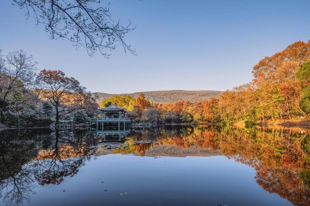 钟山在哪里，他用笔描绘出怎样的“诗意江苏”（钟山在哪里属于哪个省）